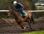 19 February 2020; Virginia Bascop on Un De Sceaux during a Willie Mullins Yard visit at Closutton in Bagenalstown, Co Carlow. Photo by Harry Murphy/Sportsfile