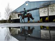 19 February 2020; Paul Roche on Al Boum Photo during a Willie Mullins Yard visit at Closutton in Bagenalstown, Co Carlow. Photo by Harry Murphy/Sportsfile