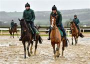 19 February 2020; John Codd on Faugheen, right, and Paul Roche on Al Boum Photo during a Willie Mullins Yard visit at Closutton in Bagenalstown, Co Carlow. Photo by Harry Murphy/Sportsfile