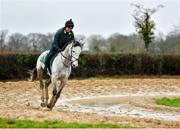 19 February 2020; Rachal Boyd on Duc Des Genievres gallop during a Willie Mullins Yard visit at Closutton in Bagenalstown, Co Carlow. Photo by Harry Murphy/Sportsfile