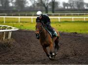 19 February 2020; Virginia Bascop on Un De Sceaux during a Willie Mullins Yard visit at Closutton in Bagenalstown, Co Carlow. Photo by Harry Murphy/Sportsfile