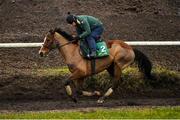 19 February 2020; John Codd on Faugheen during a Willie Mullins Yard visit at Closutton in Bagenalstown, Co Carlow. Photo by Harry Murphy/Sportsfile