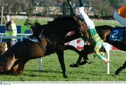28 December 2003; Adarma, with Alan Crowe up, falls at the first fence during the Durkan New Homes Hurdle, Leopardstown Racecourse, Dublin. Horse Racing. Picture Credit; David Maher / SPORTSFILE *EDI*