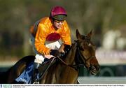 28 December 2003; Demophilos, with Paul carberry up, on their way to winning the Durkan New Homes Hurdle, Leopardstown Racecourse, Dublin. Horse Racing. Picture Credit; Pat Murphy / SPORTSFILE *EDI*