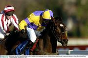 28 December 2003; Arch Stanton, with Ruby Walsh up, on their way to winning the O'Dwyer's Stillorgan Orchard Maiden Hurdle, Leopardstown Racecourse, Dublin. Horse Racing. Picture Credit; Pat Murphy / SPORTSFILE *EDI*