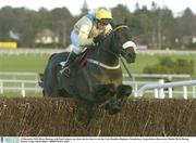 29 December 2003; Direct Bearing, with Paul Carberry up, clears the last fence to win the Coyle Hamilton Beginners Steeplechase, Leopardstown Racecourse, Dublin. Horse Racing. Picture Credit; David Maher / SPORTSFILE *EDI*