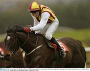 31 December 2003; Regello, with Darren O'Dwyer up, on their way to winning the Martinstown Opportunity Handicap Hurdle, Punchestown Racecourse, Co. Kildare. Horse Racing. Picture Credit; Damien Eagers / SPORTSFILE *EDI*