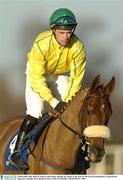 28 December 2003; Beef Or Salmon, with Timmy Murphy up, canters to the start for the Ericsson Steeplechase, Leopardstown Racecourse, Dublin. Horse Racing. Picture Credit; Pat Murphy / SPORTSFILE *EDI*