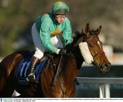 28 December 2003; Baily Mist, with Gareth Cotter up, during the O'Dwyer's Stillorgan Orchard Maiden Hurdle, Leopardstown Racecourse, Dublin. Horse Racing. Picture Credit; Pat Murphy / SPORTSFILE *EDI*