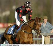 28 December 2003; Eagles high, with Martin Mooney up, during the Durkan New Homes Hurdle, Leopardstown Racecourse, Dublin. Horse Racing. Picture Credit; Pat Murphy / SPORTSFILE *EDI*