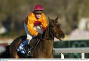 28 December 2003; Demophilos, with Paul Carberry up, on their way to winning the Durkan New Homes Hurdle, Leopardstown Racecourse, Dublin. Horse Racing. Picture Credit; Pat Murphy / SPORTSFILE *EDI*