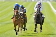 29 June 2013; Tarn, with Wayne Lordan up, left, cross the line to to win the Dubai Duty Free Finest Surprise European Breeders Fund Maiden from Intensified with Kevin Manning up, right. Curragh Racecourse, The Curragh, Co. Kildare. Picture credit: Diarmuid Greene / SPORTSFILE