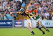 29 June 2013; Rory Jacob, Wexford, in action against Eoin Nolan, Carlow. GAA Hurling All-Ireland Senior Championship, Phase I, Wexford v Carlow, Wexford Park, Wexford. Picture credit: Matt Browne / SPORTSFILE