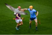 22 February 2020; A seagull flies as Wexford and Dublin players tussle during the Allianz Hurling League Division 1 Group B Round 4 match between Dublin and Wexford at Croke Park in Dublin. Photo by Harry Murphy/Sportsfile