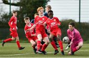 23 February 2020; DDSL goalkeeper Jack Ellis saves a shot on target despite the pressure of Dezell Obenge during the U13 SFAI Subway Liam Miller Cup National Championship Final match between Cork SL and DDSL at Mullingar Athletic FC in Gainestown, Co. Westmeath. Photo by Eóin Noonan/Sportsfile