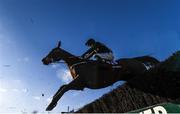 2 March 2020; Peterstown, with Sean O'Keeffe up, jumps the last during the Leopardstown Membership Beginners Steeplechase at Leopardstown Racecourse in Dublin. Photo by Harry Murphy/Sportsfile