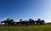 2 March 2020; A general view of runners and riders during the TRI Equestrian Handicap Hurdle at Leopardstown Racecourse in Dublin. Photo by Harry Murphy/Sportsfile