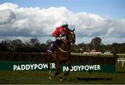 2 March 2020; Dasmyhoss, with Darragh O'Keeffe up, during the Leopardstown Membership Beginners Steeplechase at Leopardstown Racecourse in Dublin. Photo by Harry Murphy/Sportsfile