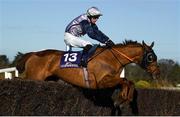 2 March 2020; Krisquin, with Gearoid Brouder up, jumps the last on their way to winning the Adare Manor Opportunity Handicap Steeplechase at Leopardstown Racecourse in Dublin. Photo by Harry Murphy/Sportsfile