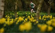 7 March 2020; Sean O'Leary of St Brendans, Co Kerry, competing in the Senior Boys race during the Irish Life Health All-Ireland Schools Cross Country Championships at Santry Demesne in Santry, Dublin. Photo by David Fitzgerald/Sportsfile