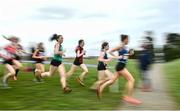 7 March 2020; Runners in the Intermediate Girls race during the Irish Life Health All-Ireland Schools Cross Country Championships at Santry Demesne in Santry, Dublin. Photo by David Fitzgerald/Sportsfile