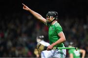 7 March 2020; Gearoid Hegarty of Limerick celebrates after scoring his side's first goal of the game during the Allianz Hurling League Division 1 Group A Round 3 match between Limerick and Waterford at LIT Gaelic Grounds in Limerick. Photo by Eóin Noonan/Sportsfile