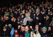 7 March 2020; Limerick supporters celebrate after Gearoid Hegarty scored their first goal during the Allianz Hurling League Division 1 Group A Round 3 match between Limerick and Waterford at LIT Gaelic Grounds in Limerick. Photo by Diarmuid Greene/Sportsfile