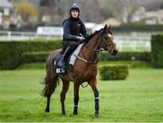 9 March 2020; Keith Donoghue on Tiger Roll ahead of the Cheltenham Racing Festival at Prestbury Park in Cheltenham, England. Photo by Harry Murphy/Sportsfile