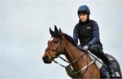 9 March 2020; Keith Donoghue with Tiger Roll on the gallops ahead of the Cheltenham Racing Festival at Prestbury Park in Cheltenham, England. Photo by David Fitzgerald/Sportsfile