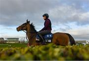 9 March 2020; Helen Peppard on Out Sam on the gallops ahead of the Cheltenham Racing Festival at Prestbury Park in Cheltenham, England. Photo by Harry Murphy/Sportsfile