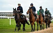 9 March 2020; The Willie Mullins string is led onto the gallops by Paul Townend on Benie Des Dieux, left, and Ruby Walsh on Chacun Pour Soi ahead of the Cheltenham Racing Festival at Prestbury Park in Cheltenham, England. Photo by David Fitzgerald/Sportsfile