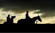 9 March 2020; Horses from Gordon Elliotts string on the gallops ahead of the Cheltenham Racing Festival at Prestbury Park in Cheltenham, England. Photo by David Fitzgerald/Sportsfile