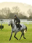 9 March 2020; Rachael Blackmore with Petit Mouchoir on the gallops ahead of the Cheltenham Racing Festival at Prestbury Park in Cheltenham, England. Photo by David Fitzgerald/Sportsfile