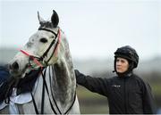 9 March 2020; Rachael Blackmore with Petit Mouchoir on the gallops ahead of the Cheltenham Racing Festival at Prestbury Park in Cheltenham, England. Photo by Harry Murphy/Sportsfile