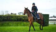 9 March 2020; Keith Donoghue with Envoi Allen on the gallops ahead of the Cheltenham Racing Festival at Prestbury Park in Cheltenham, England. Photo by David Fitzgerald/Sportsfile
