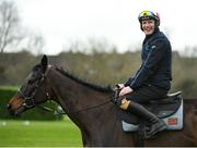 9 March 2020; Paul Townend with Benie Des Dieux on the gallops ahead of the Cheltenham Racing Festival at Prestbury Park in Cheltenham, England. Photo by Harry Murphy/Sportsfile