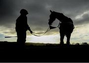 9 March 2020; Honeysuckle on the gallops ahead of the Cheltenham Racing Festival at Prestbury Park in Cheltenham, England. Photo by Harry Murphy/Sportsfile