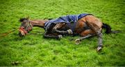 10 March 2020; Foxy Jacks, a horse trained by Mouse Morris, enjoying the grass prior to racing on day one of the Cheltenham Racing Festival at Prestbury Park in Cheltenham, England. Photo by David Fitzgerald/Sportsfile
