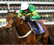 11 March 2020; The eventual winner Champ, with Barry Geraghty up, after jumping the last in third place, before going on to win the RSA Insurance Novices' Chase on Day Two of the Cheltenham Racing Festival at Prestbury Park in Cheltenham, England. Photo by Harry Murphy/Sportsfile