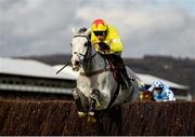 11 March 2020; Politologue, with Harry Skelton up, jump the last, on their way to winning the Betway Queen Mother Champion Chase on Day Two of the Cheltenham Racing Festival at Prestbury Park in Cheltenham, England. Photo by Harry Murphy/Sportsfile