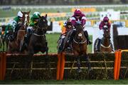 13 March 2020; Embittered, with JJ Slevin up, right, leads eventual winner Saint Roi, with Barry Geraghty up, jump the last during the Randox Health County Handicap Hurdle on Day Four of the Cheltenham Racing Festival at Prestbury Park in Cheltenham, England. Photo by Harry Murphy/Sportsfile