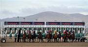 13 March 2020; A view of the field at the start of the View Restaurant At Dundalk Stadium Claiming Race at Dundalk Stadium in Co Louth. Photo by Seb Daly/Sportsfile