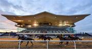 13 March 2020; A view of the field as they pass the empty grandstand during the Irishinjuredjockeys.com Handicap at Dundalk Stadium in Co Louth. Photo by Seb Daly/Sportsfile