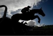 15 March 2020; Notice To Close, with Mikey O'Connor up, jumps the last on the first circuit during the Follow Limerick Racecourse On Twitter Handicap Hurdle at Limerick Racecourse in Patrickswell, Limerick. Photo by Seb Daly/Sportsfile