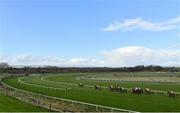 15 March 2020; A view of the field during the Hospitality Packages At Limerick Racecourse Maiden Hurdle at Limerick Racecourse in Patrickswell, Limerick. Photo by Seb Daly/Sportsfile