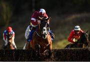 15 March 2020; Tintagle, with Luke Dempsey up, jumps the last during the first circuit during the Charleville Cheese Irish EBF Mares Novice Steeplechase at Limerick Racecourse in Patrickswell, Limerick. Photo by Seb Daly/Sportsfile