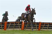 17 March 2020; Ujumpthelastuwin, with Jonathan Moore up, jumps the last on their way to winning the The Eoin O`Gorman Solicitors Maiden Hurdle at Wexford Racecourse in Carricklawn, Wexford. Photo by Matt Browne/Sportsfile