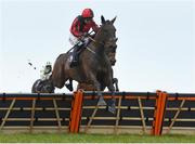 17 March 2020; Ujumpthelastuwin, with Jonathan Moore up, jumps the last on their way to winning the The Eoin O`Gorman Solicitors Maiden Hurdle at Wexford Racecourse in Carricklawn, Wexford. Photo by Matt Browne/Sportsfile