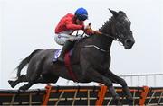 17 March 2020; Zambezi Fix, with Luke Dempsey up, jump the last on their way to winning The Micheal O`Murchadha Memorial Handicap Hurdle at Wexford Racecourse in Carricklawn, Wexford. Photo by Matt Browne/Sportsfile