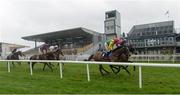 17 March 2020; Runners and riders during the Racing TV Steeplechase at Down Royal in Lisburn, Co Down. Photo by Oliver McVeigh/Sportsfile